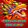Dragon Reels logó