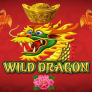 Wild Dragon logó