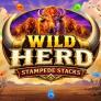 Wild Herd Stampede Stacks logó