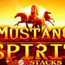 Mustang Spirit Cash Stacks logó